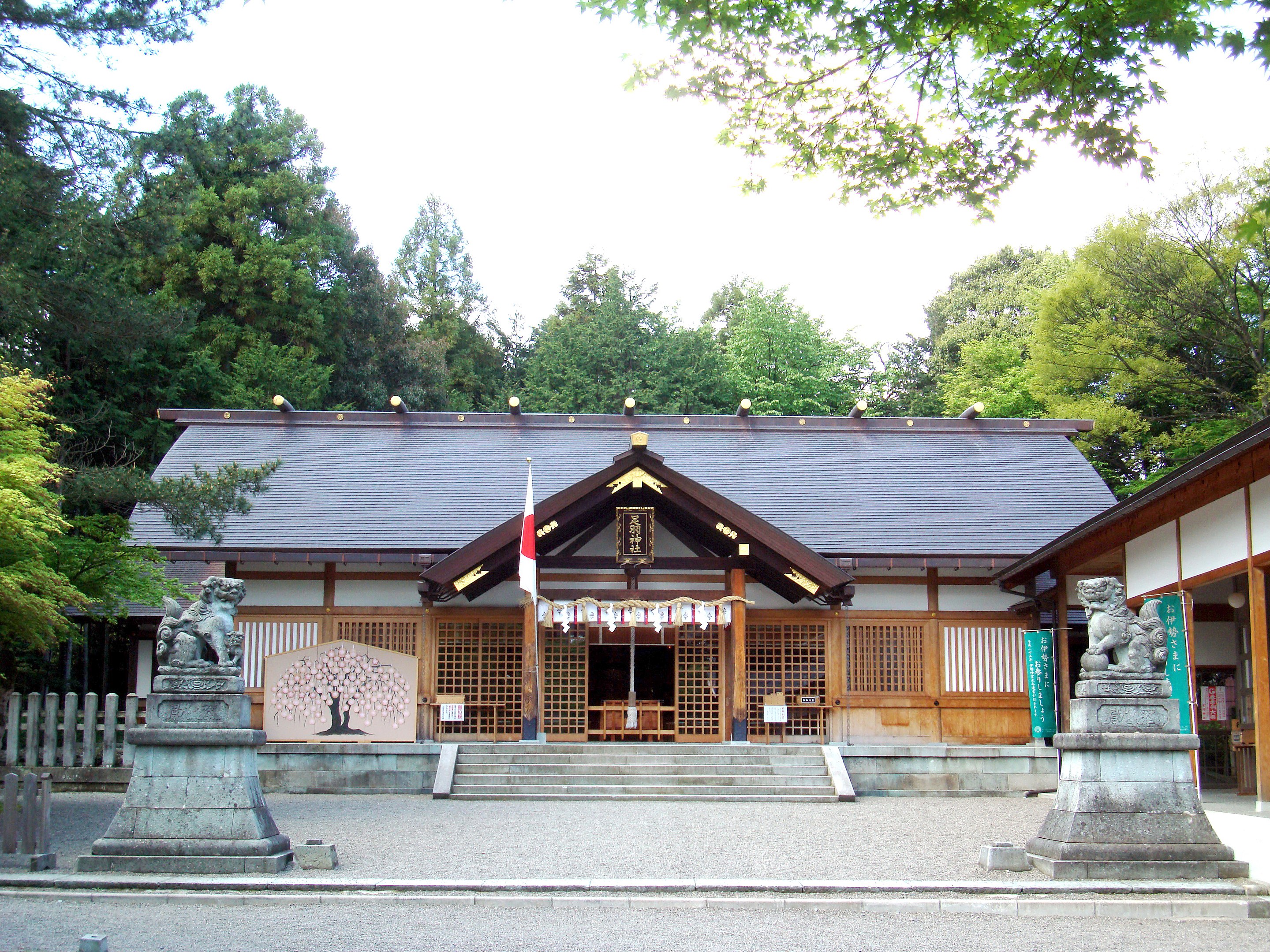 Annual International DIC Society Conference 2023: Fukui, Japan